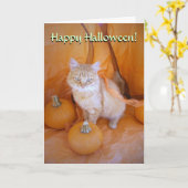 Halloween Cat Kaart (Gele Bloem)