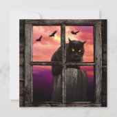 Halloween Cat Kaart (Voorkant)