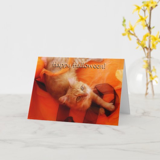 Halloween Cat Kaart (Gele Bloem)