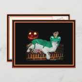 Halloween Cat krijgt de Goederen. Briefkaart (Voorkant / Achterkant)