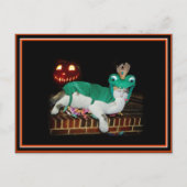 Halloween Cat krijgt de Goederen. Briefkaart (Voorkant)