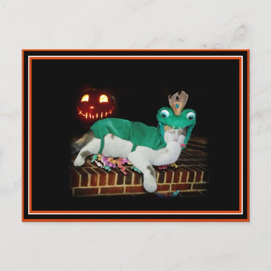 Halloween Cat krijgt de Goederen. Briefkaart (Voorkant)