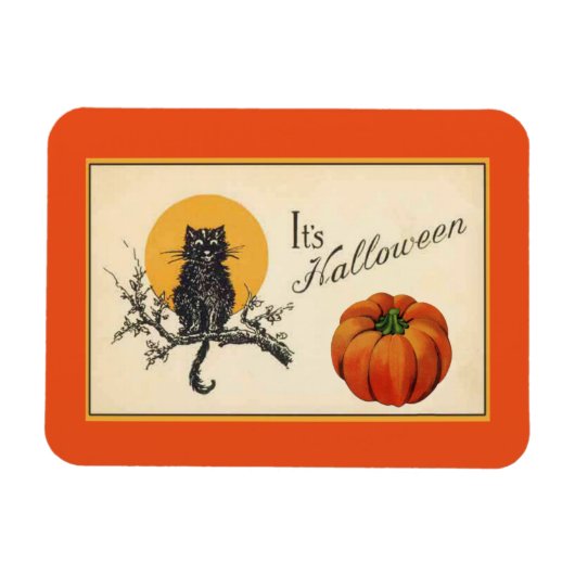 Halloween Cat Magneet (Horizontaal)
