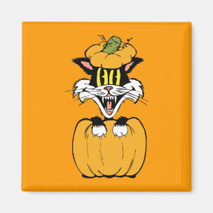 Halloween Cat Magneet
