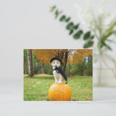 Halloween Cat op een Oranje pompoen Briefkaart (Staand voorkant)