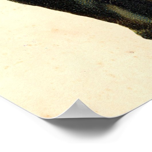  Halloween Cat Poster (Hoek)