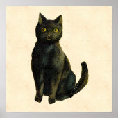  Halloween Cat Poster (Voorkant)
