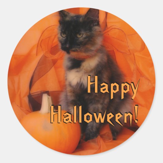 Halloween Cat Stickers (Voorkant)
