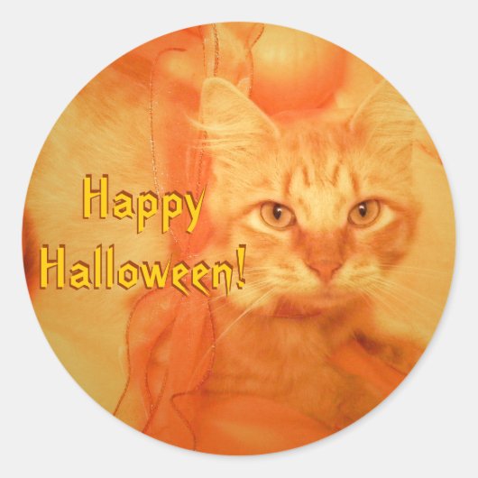 Halloween Cat Stickers (Voorkant)