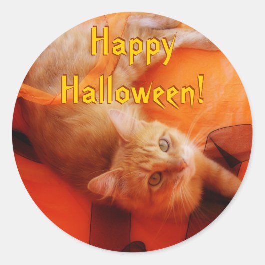 Halloween Cat Stickers (Voorkant)