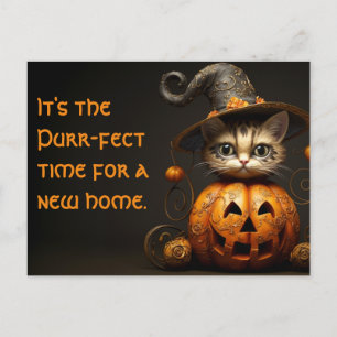 Halloween Cat Vastgoed Marketing Briefkaart