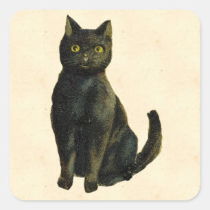  Halloween Cat Vierkante Sticker