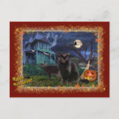 Halloween Cats Briefkaart (Voorkant)