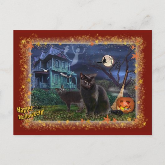 Halloween Cats Briefkaart (Voorkant)