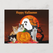Halloween Cats in Graveyard met Ghost/Cat Lover Briefkaart (Voorkant)