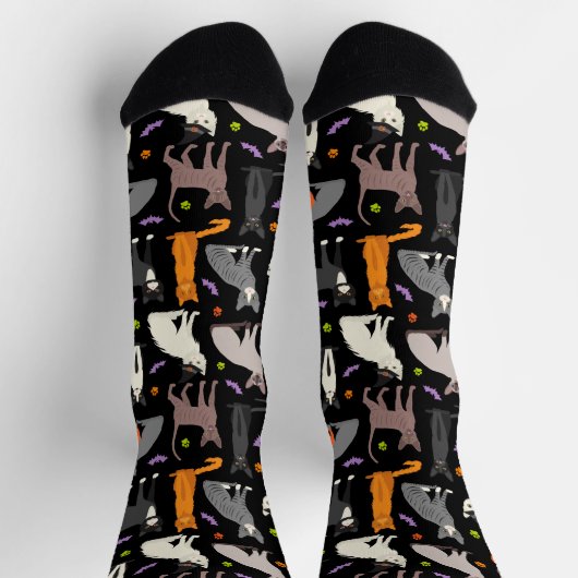 Halloween Cats Sokken (Top)