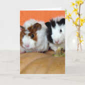 Halloween-cavia's Kaart (Gele Bloem)