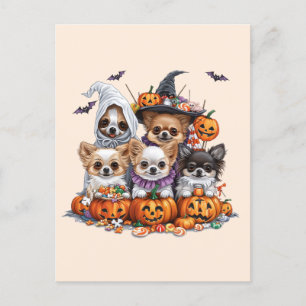 Halloween Chihuahua Honden Briefkaart