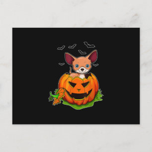 Halloween Chihuahua Hondenliefhebbers Pumpkin Grun Feestdagenkaart