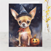 Halloween chihuahua met pompoenen eng kaart (Gele Bloem)