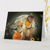 Halloween-chihuahua's Kaart (Gele Bloem)
