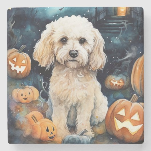 Halloween Cockapoo Met Pompoenen Griezelen Stenen Onderzetter (Voorkant)