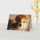 Halloween Corgi Kaart (Gele Bloem)
