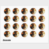 Halloween Corgi Stickers (Vel)