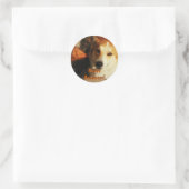 Halloween Corgi Stickers (Tas)