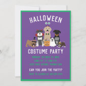 Halloween Costume Party Dogs Black Cat Kaart (Voorkant)
