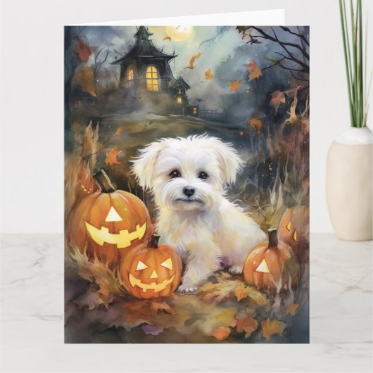 Halloween Coton De Tulear Met Pompoenen Eng Kaart (Voorkant)