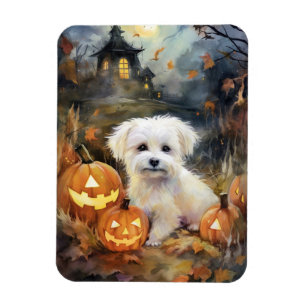 Halloween Coton de tulear with Pumpkins Scary Magneet