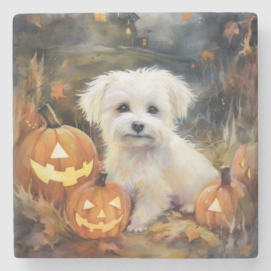 Halloween Coton de tulear with Pumpkins Scary Stenen Onderzetter (Voorkant)