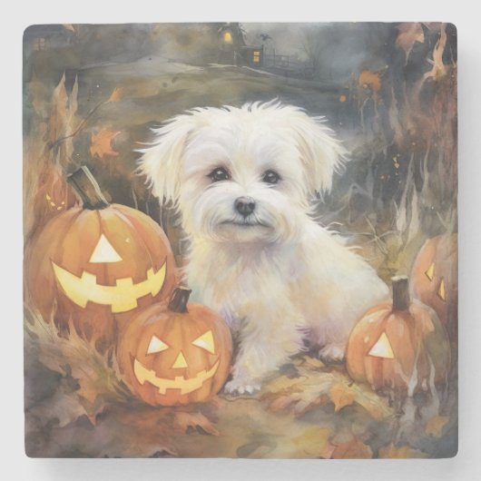 Halloween Coton de tulear with Pumpkins Scary Stenen Onderzetter (Voorkant)