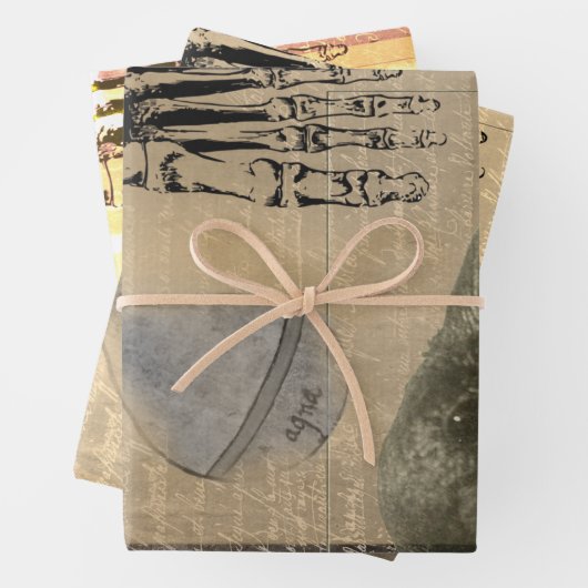 Halloween Creepy Crow  Ephemera Inpakpapier Vel (In situ)