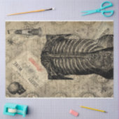 Halloween Creepy Human Anatomy  Ephemera Tissuepapier (Craft)