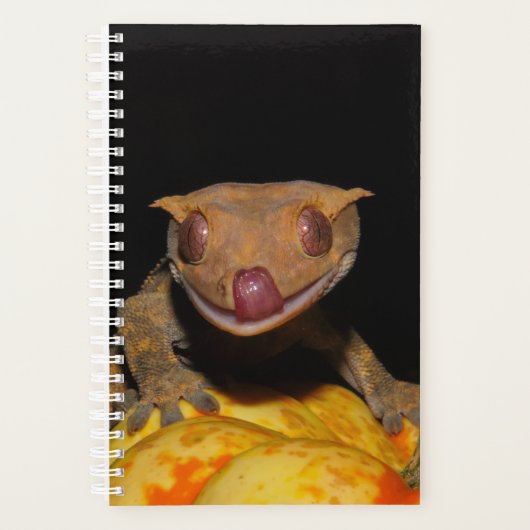 Halloween Crested Gecko Planner (Voorkant)