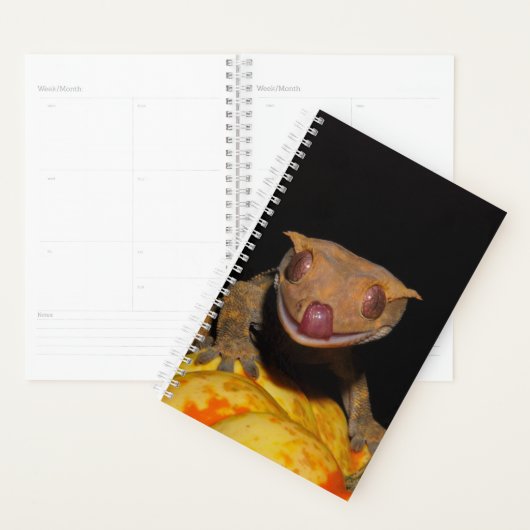 Halloween Crested Gecko Planner (Display)