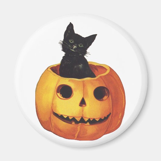  Halloween, Cute Black Cat in a Pumpkin Magneet (Voorkant)