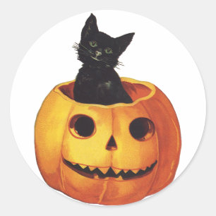  Halloween, Cute Black Cat in a Pumpkin Ronde Sticker