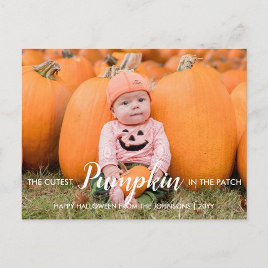 Halloween Cutest Pumpkin in the Patch Feestdagenkaart (Voorkant)