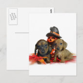 Halloween Dachshund-puppies Briefkaart (Voorkant / Achterkant)