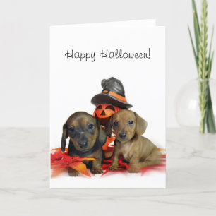 Halloween Dachshund-puppies Kaart