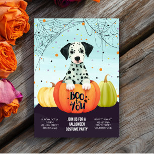 Halloween Dalmatische Pompoen Schattigee Hond Kost Kaart