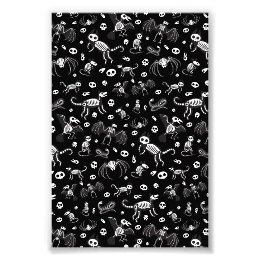 Halloween Dier Vleermuizen Honden Katten Spinnen S Foto Afdruk (Voorkant)