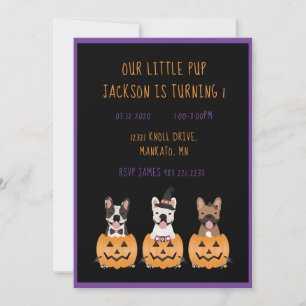 Halloween Dog Birthday French Bulldogs Kaart
