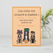 Halloween Dog Birthday Party Kaart (Staand voorkant)