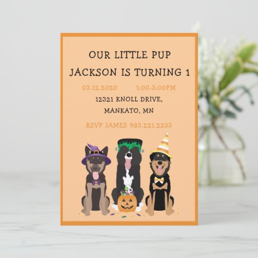 Halloween Dog Birthday Party Kaart (Staand voorkant)