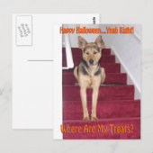Halloween Dog en geen behandelingen Briefkaart (Voorkant / Achterkant)
