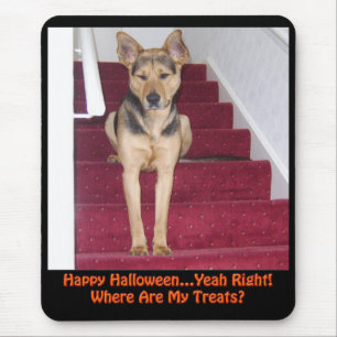 Halloween Dog en geen behandelingen Muismat